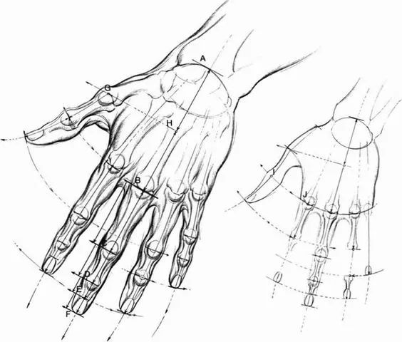 双十一要到了,这一百只手送给你们!随便“剁”!随便画