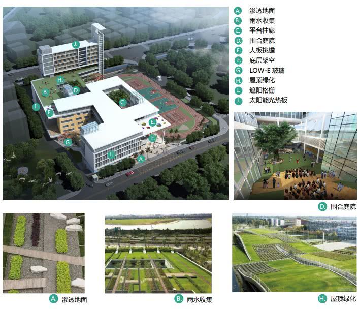 龙华区福城街道办学校,龙华9年一贯制小学