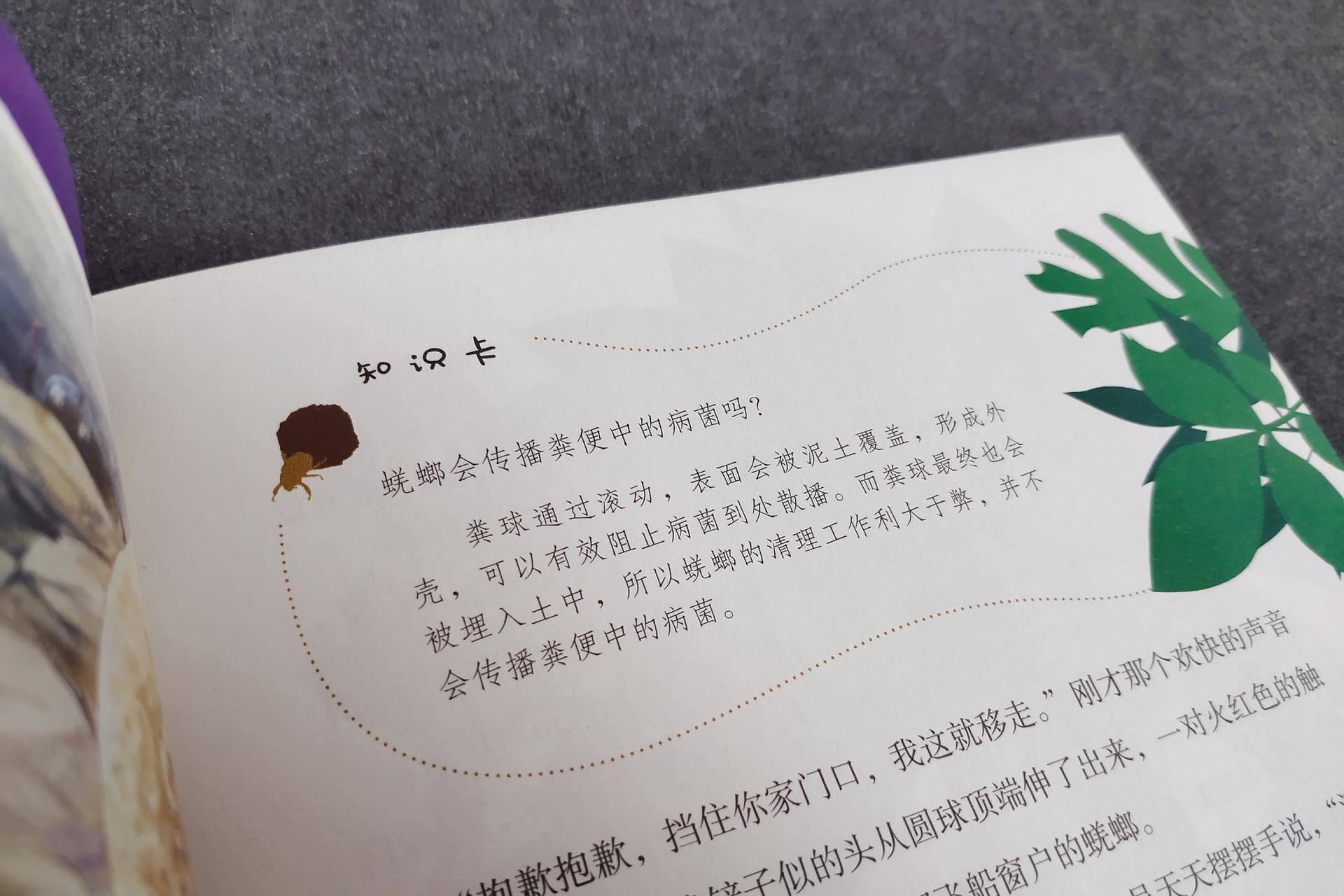 适合陪小孩一起看的书,适合孩子读的童书