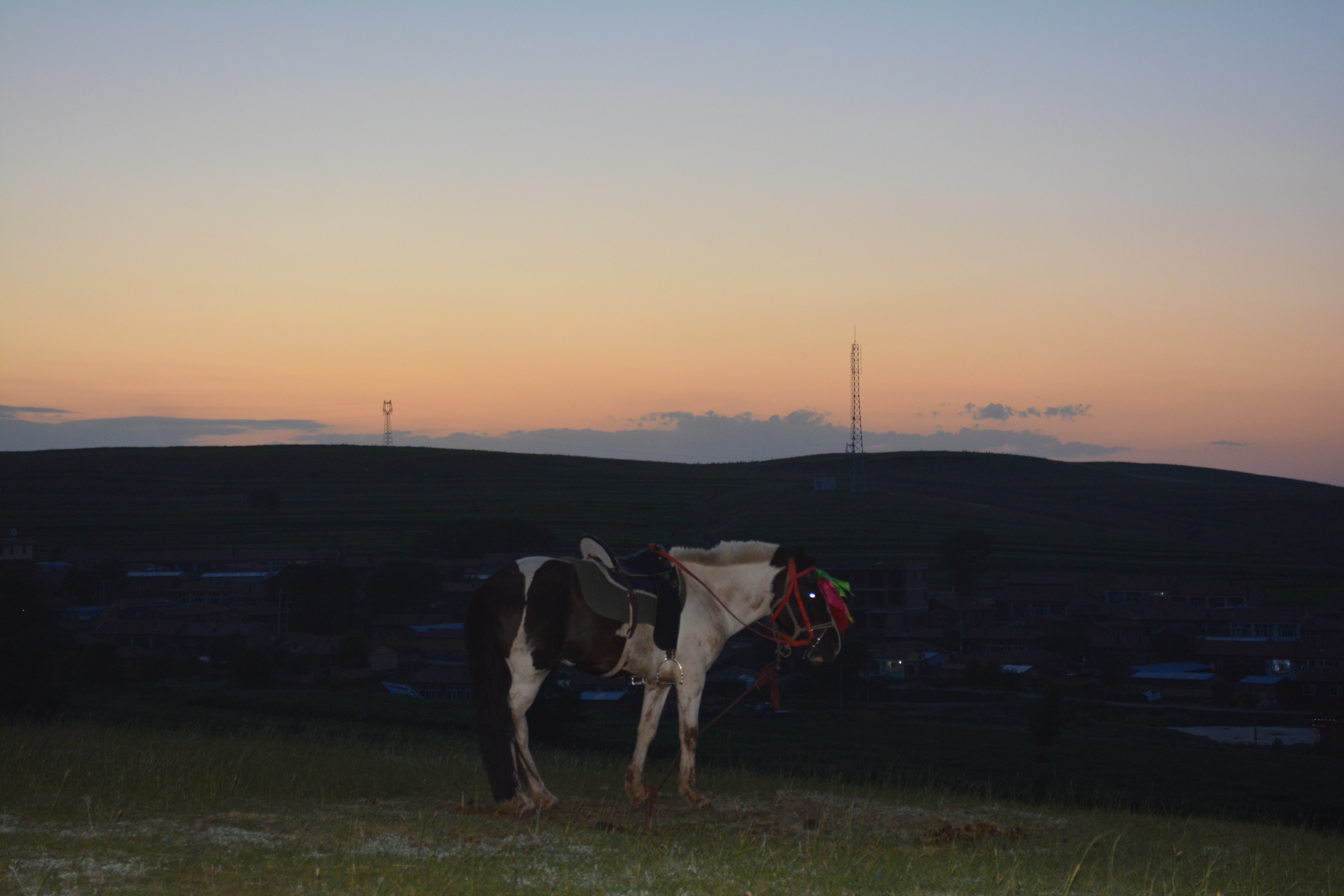 张北草原天路和野狐岭哪个好玩,张北草原自驾游野狐岭入口