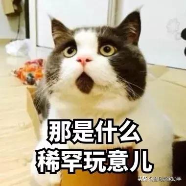 和国外卖家交流“零距离”？海归卖家安利的这个宝藏网站有点上头