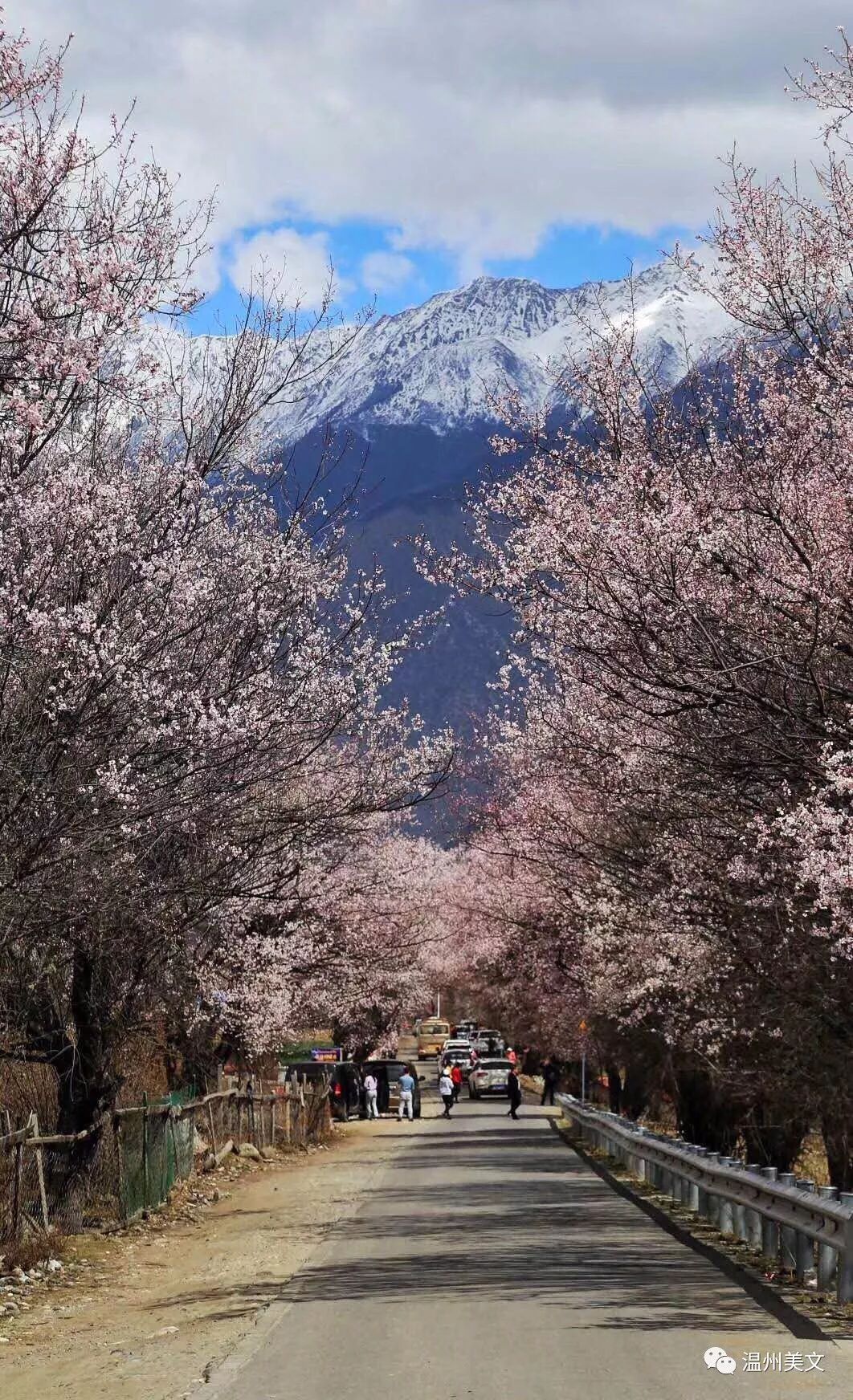 始于颜值陷于才华忠于人品,忠于人品始于颜值陷于才华全句