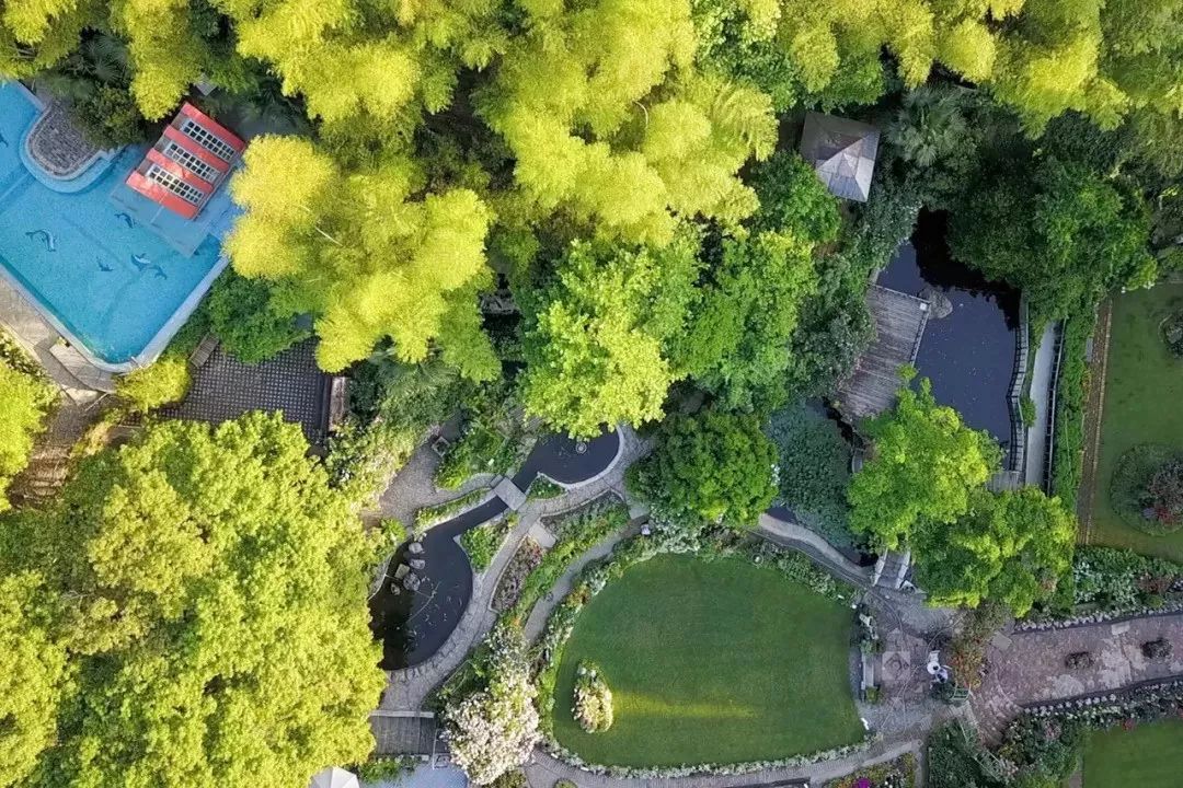 一个安徽爷爷，花1万块种出5000㎡私家花园，被评为中国最美