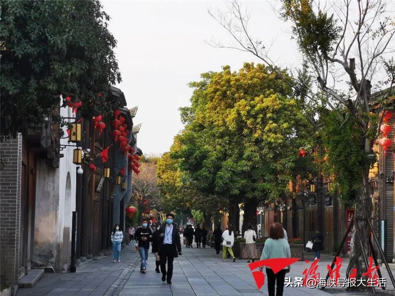 福建春季游玩好去处推荐,我闻到了春天的气息200字