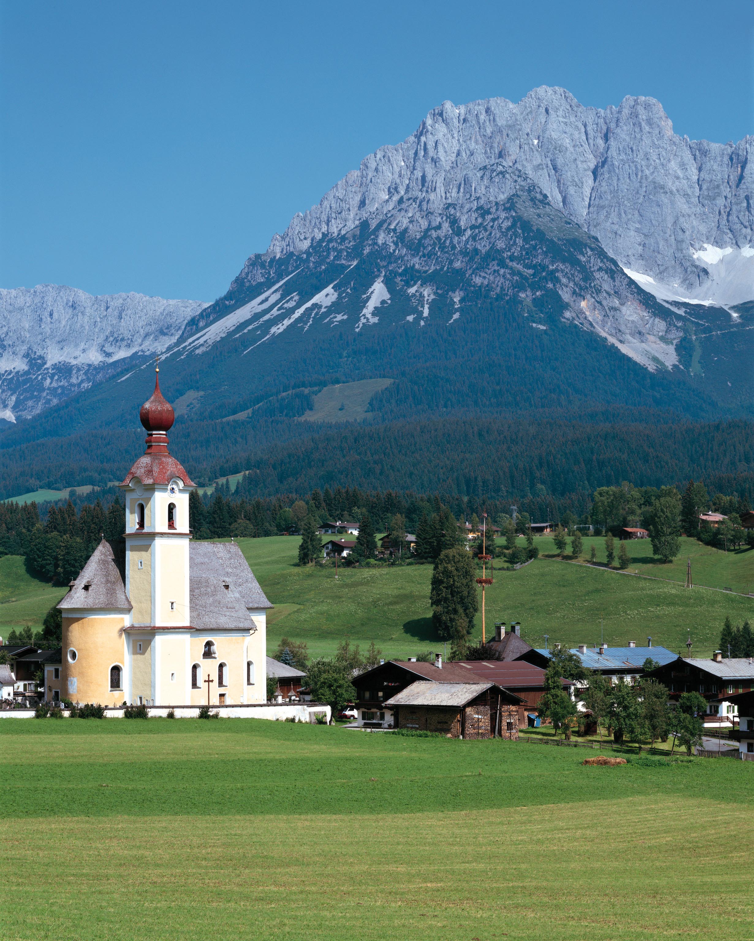 德国乡村风味的花园,德国花园里的植物