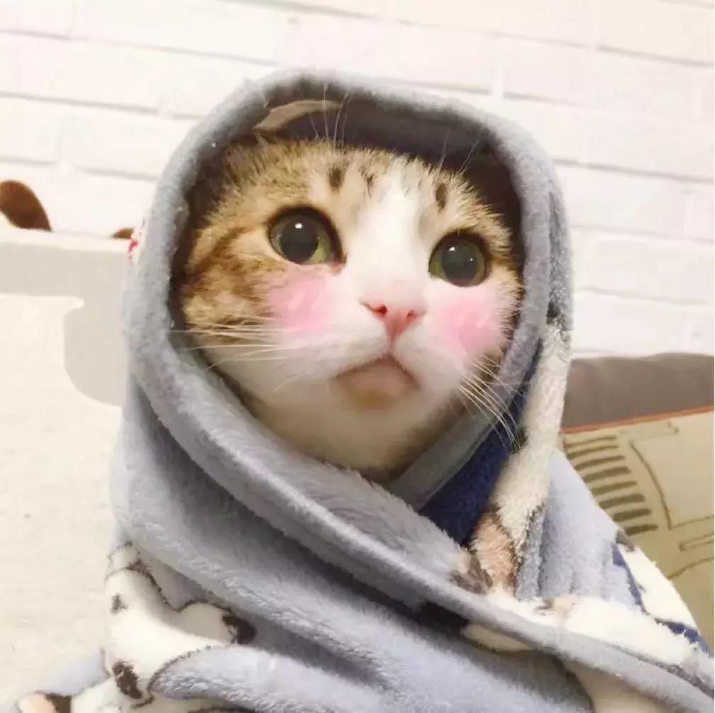 广州经典手信礼盒,广州值得带特产伴手礼