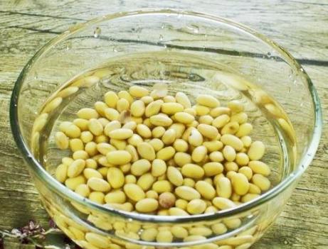 猪蹄的做法高压锅炖猪蹄,猪蹄不用高压锅怎么才能软烂脱骨