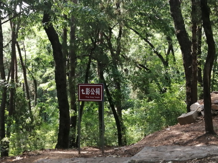 镇平菩提寺文物,镇平菩提寺是八大名寺吗