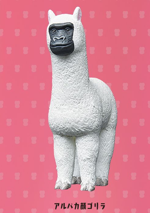 买彩票乐趣,买福利彩票乐趣