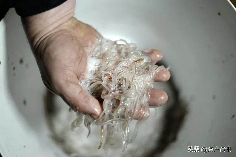 常见的甲壳类水产品有哪些,甲壳类水产品有哪些