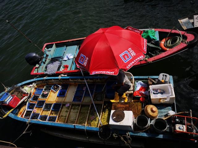 香港最后一片净土避世天堂,香港西贡一日游攻略图