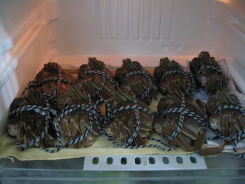 吃不完的螃蟹不要直接放冰箱,吃不完的螃蟹可以放冰箱保鲜吗