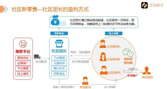 芝麻鲸选是什么时候开始的,芝麻鲸选是什么东西