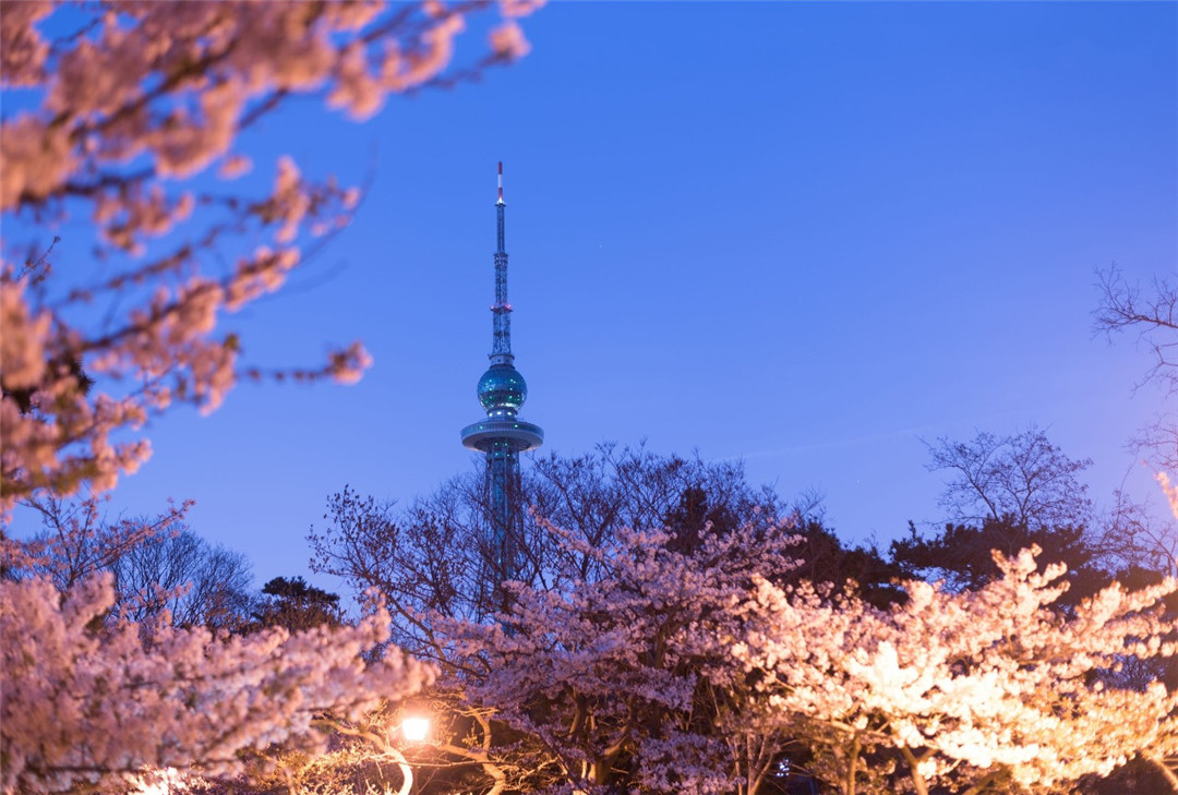 小长假说走就走,短途旅游说走就走