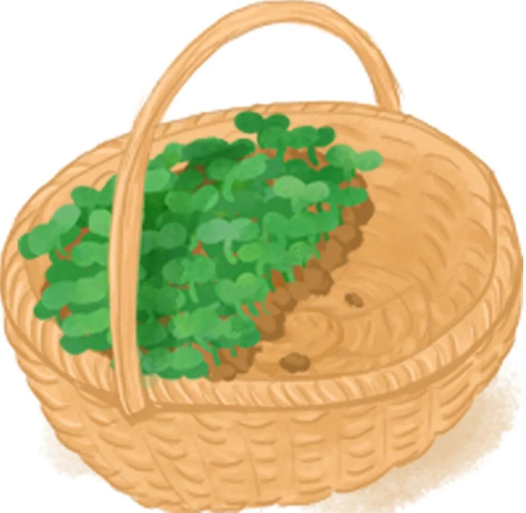 从流量猛增到订单回落，“云卖菜”的下一站在哪里？