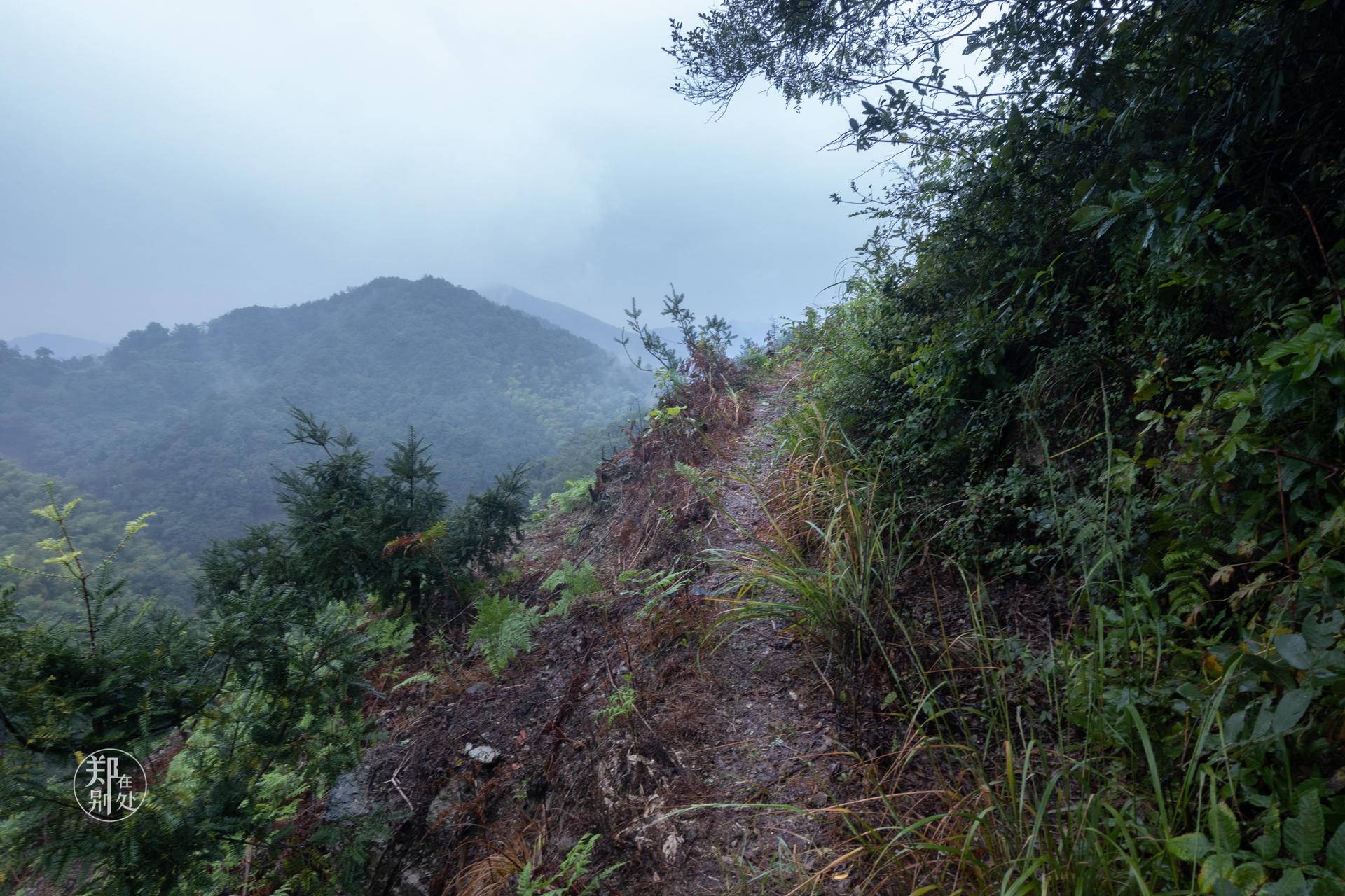 香榧古道,香榧古道徒步路线哪条景色美