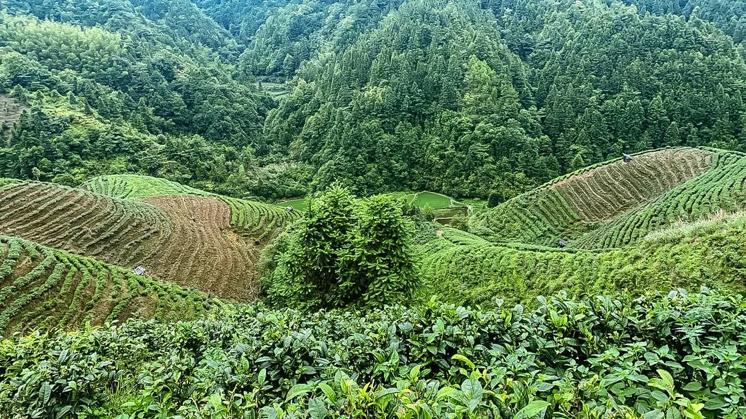 世界瑶都中国金秀,世界瑶都文化产业园