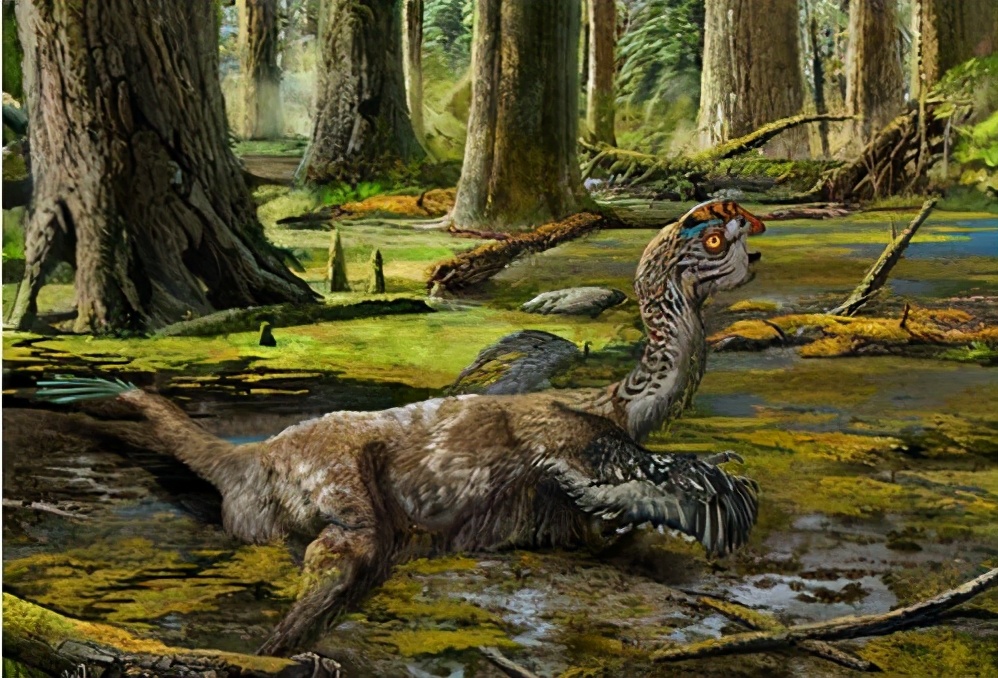 几种可以瞬间秒杀霸王龙的恐龙,各种各样的恐龙和霸王龙