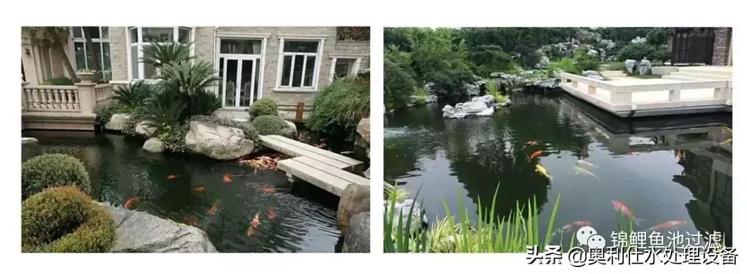 锦鲤鱼池过滤仓建造过程视频,锦鲤鱼池最好的过滤方式