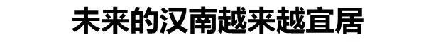 武汉最新示范区,武汉真正的核心区