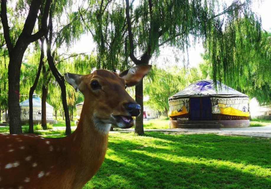 包头适合生活吗,包头是一个适合生活的地方