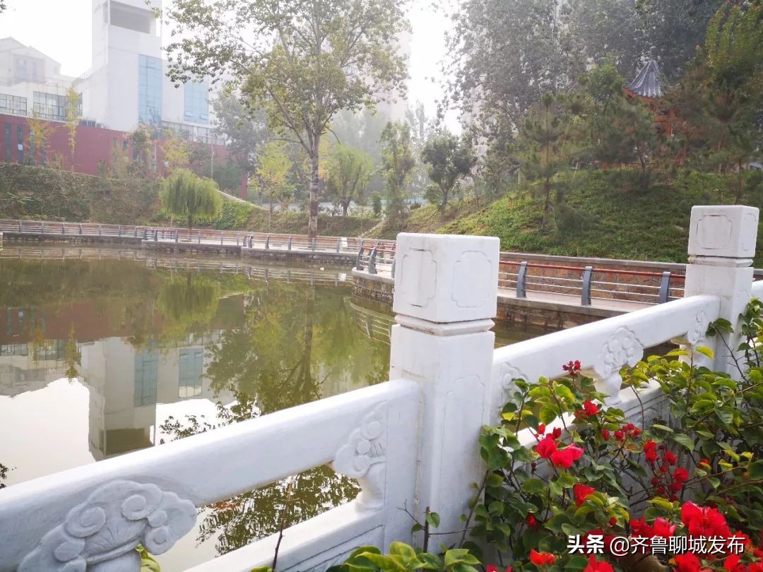 聊城二中历史,十年印象阿布