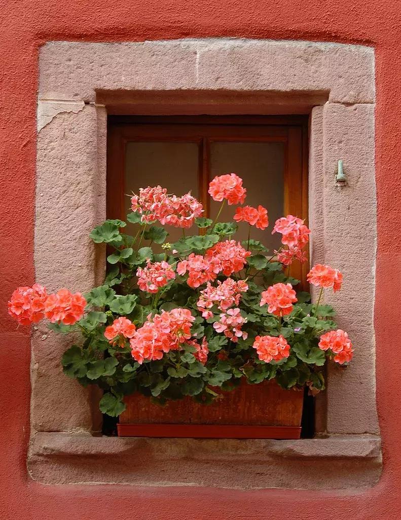 潘通流行色是怎么确定的,潘通官网2021流行色亮黄色