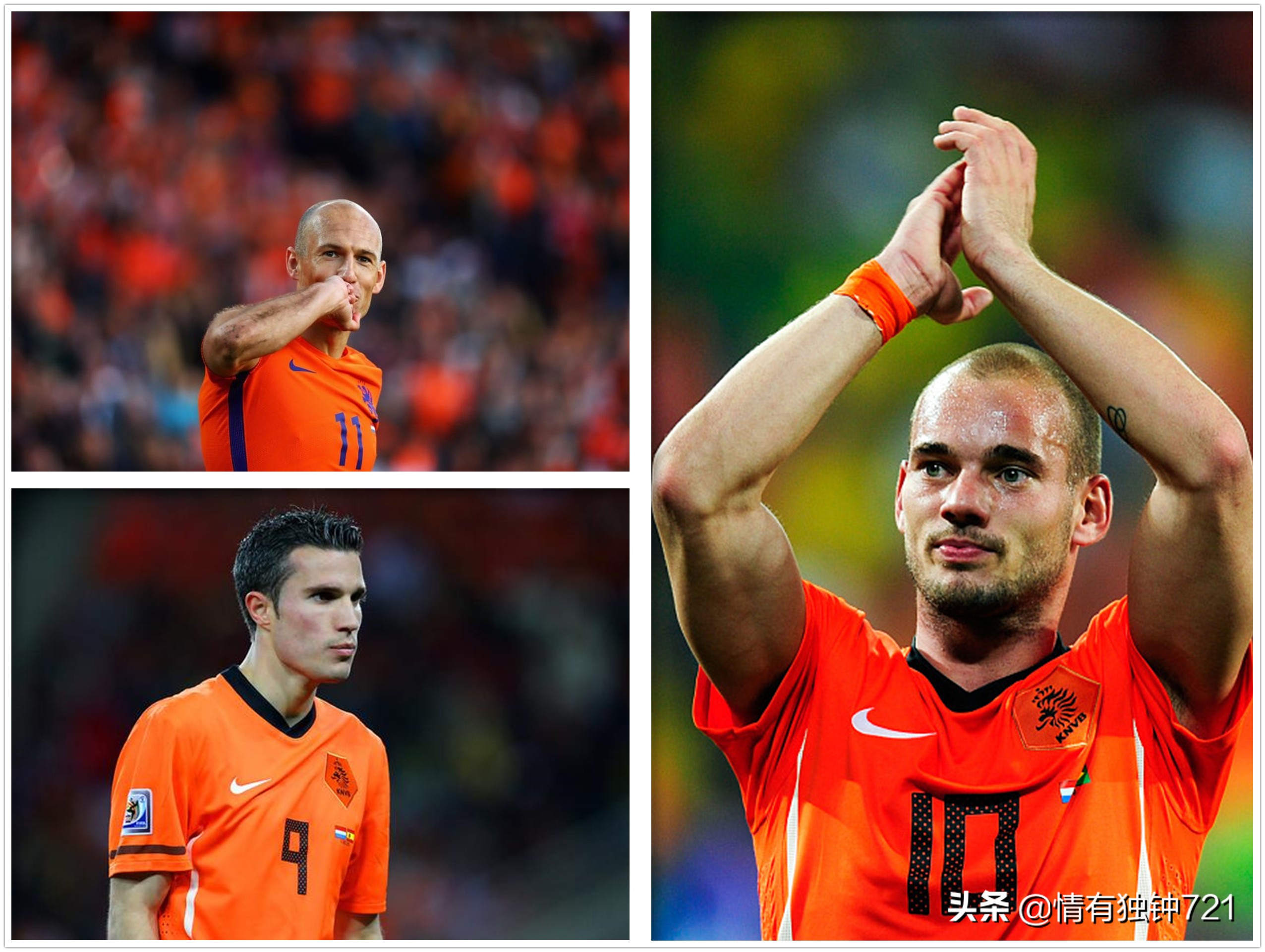 郁金香将再次绽放荷兰,郁金香再次怒放荷兰足球