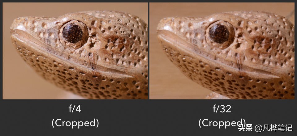 学习摄影知识入门看哪本书,摄影基础知识光圈