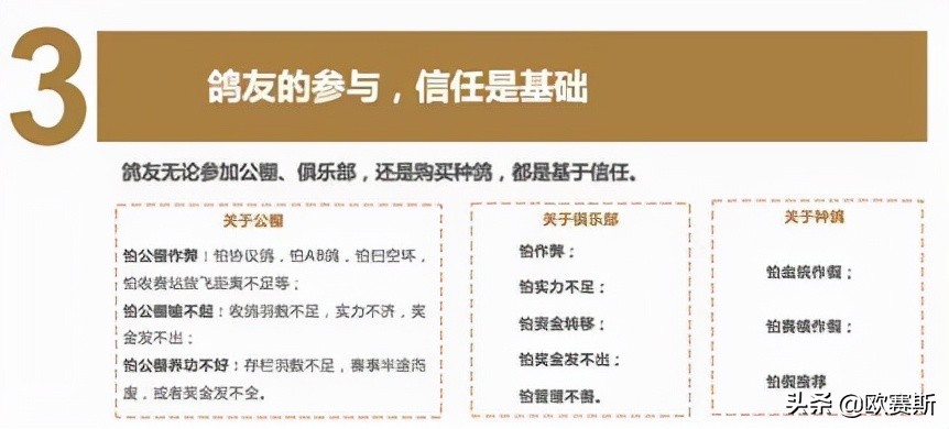 超级品牌日攻略,超级品牌日圆满结束