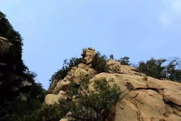 石家庄草莓采摘基地推荐,石家庄周边采摘园摘草莓