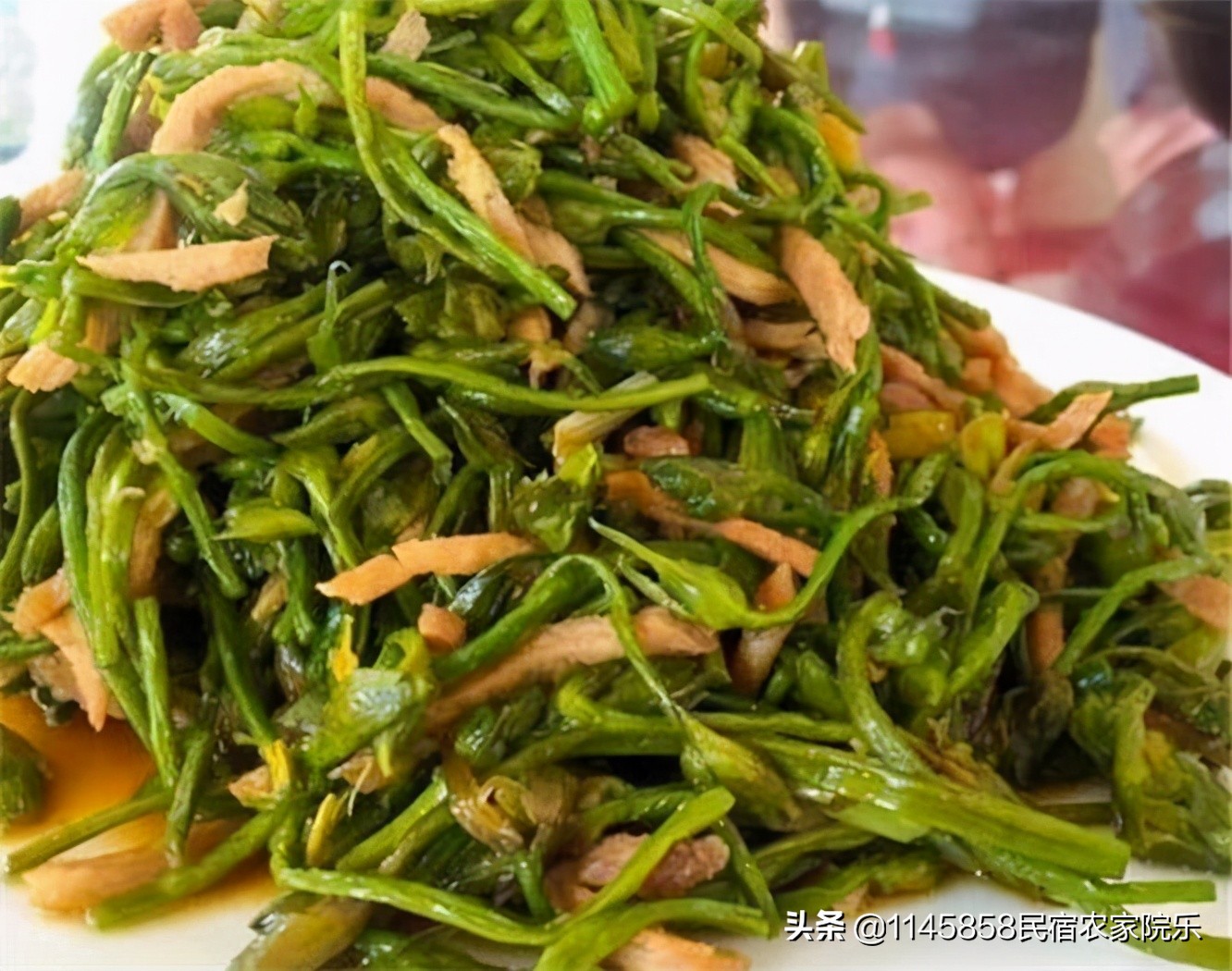 丰宁坝上奶豆腐,承德丰宁坝上友君庄园