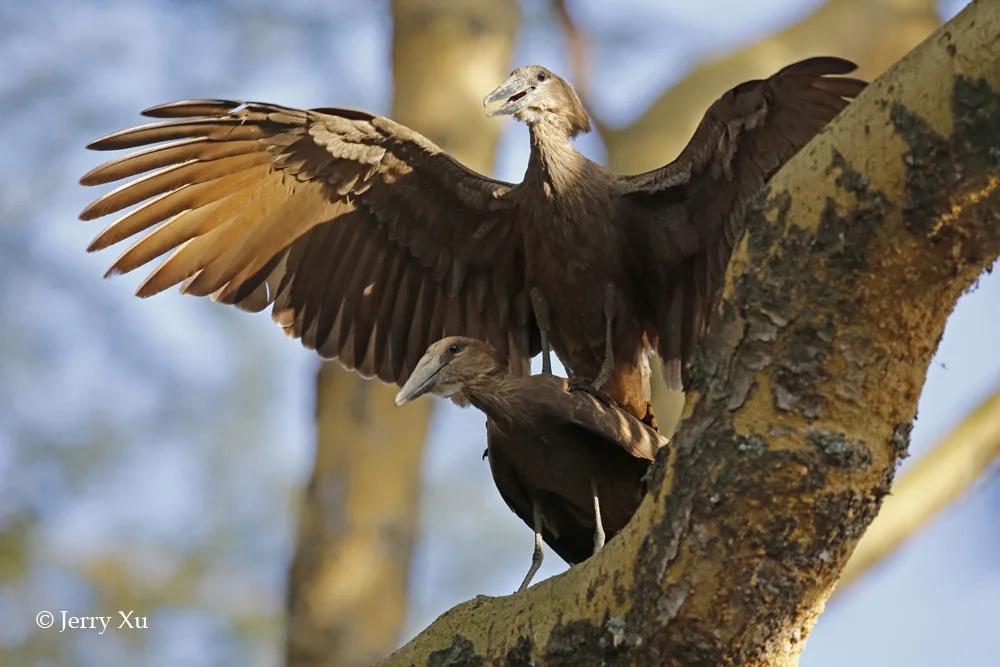情人节，就该和爱的人*爱做**做的事
