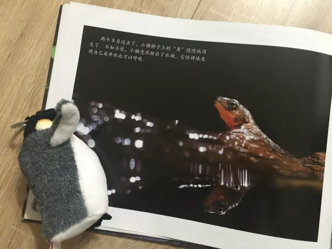 这8套大师级的中国原创绘本，用动画般的画面让孩子目不转睛