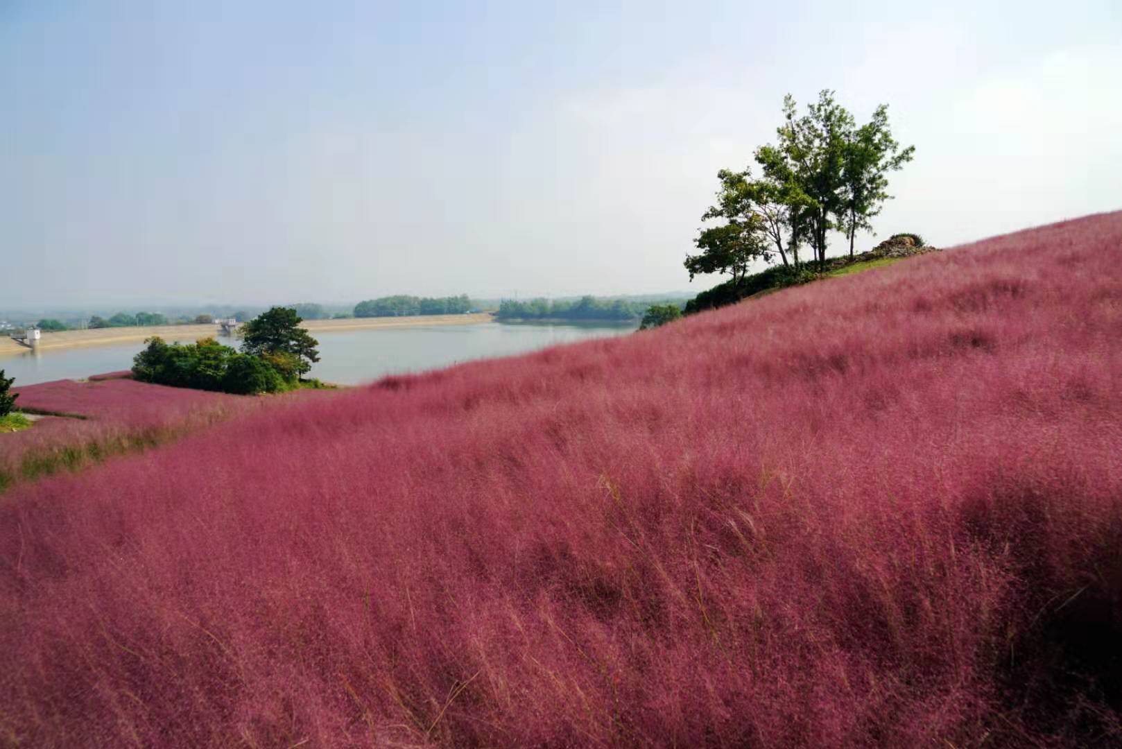 这些字你认识几个,这些字您认识几个