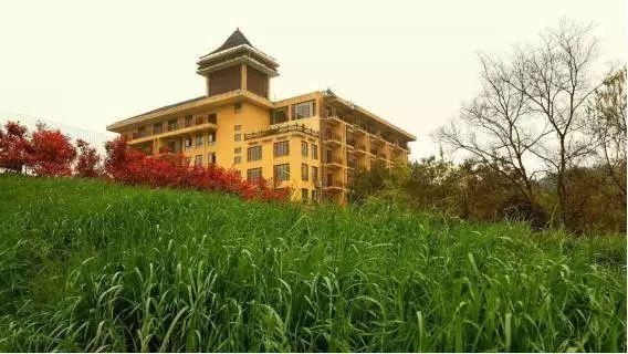 五一出游哪里最堵,假期最堵景点