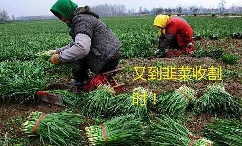 炒股要交个人所得税吗,炒股为什么不交个税