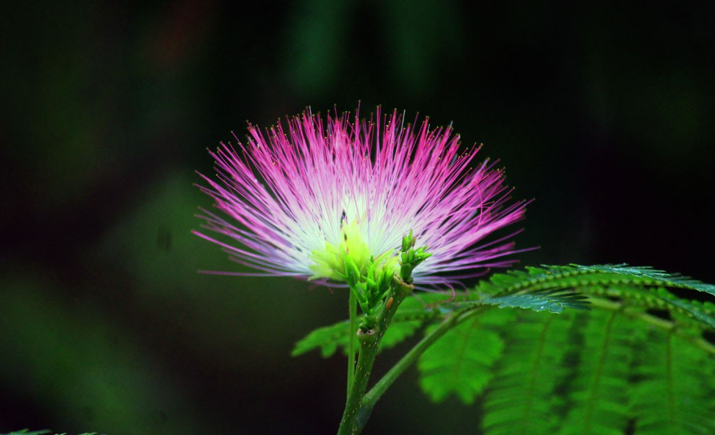 被嫉妒的人如何去应对呢,被别人嫉妒才是本事