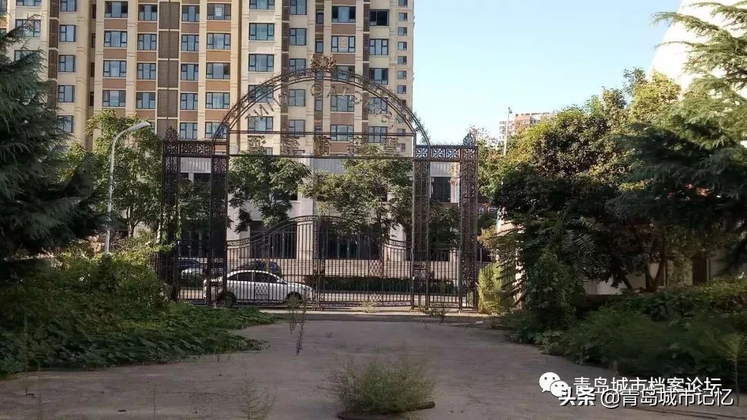 青岛的葡萄酒厂,1984年青岛的葡萄酒公司