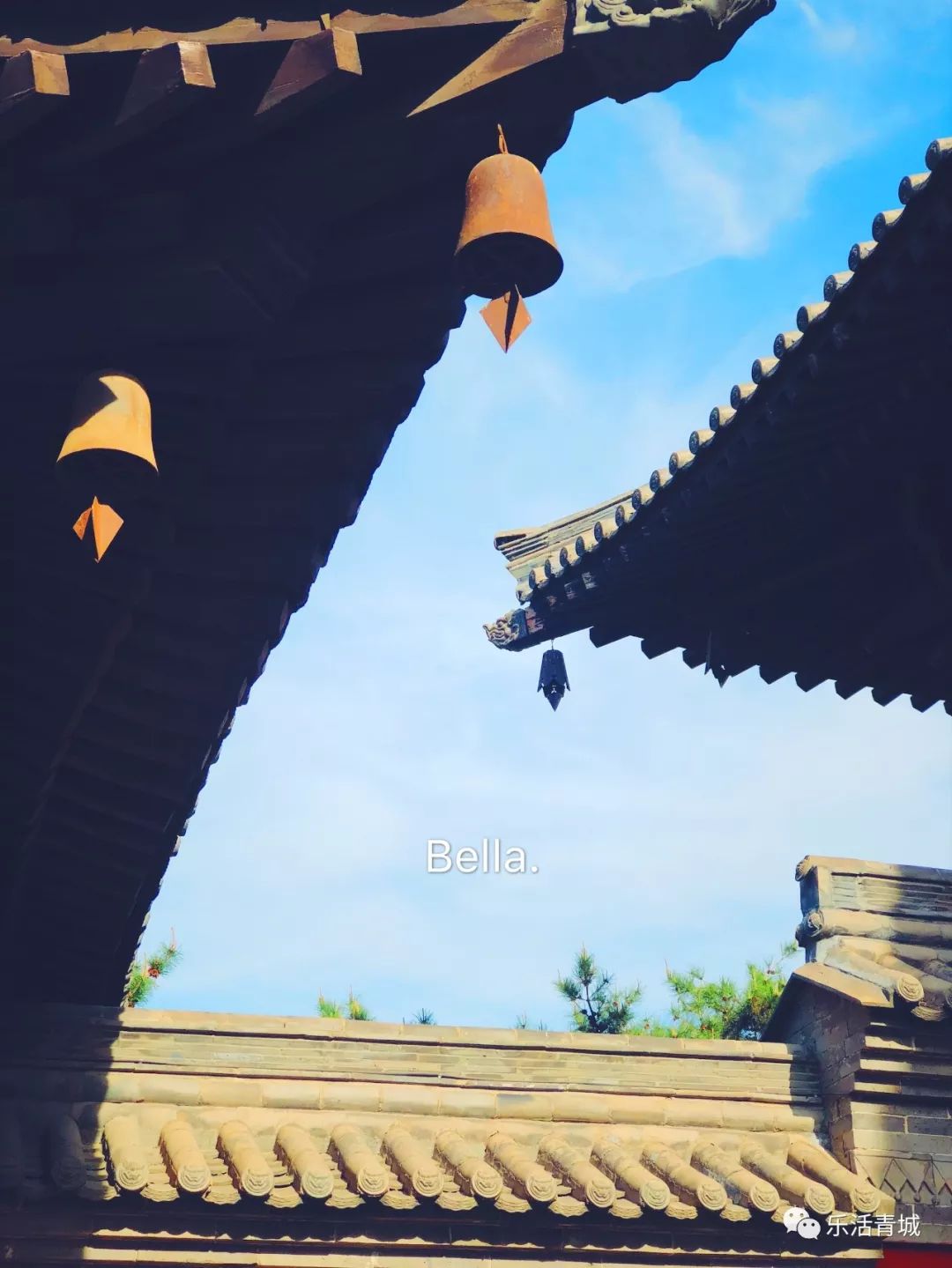 贝拉专访合集,贝拉专访完整版