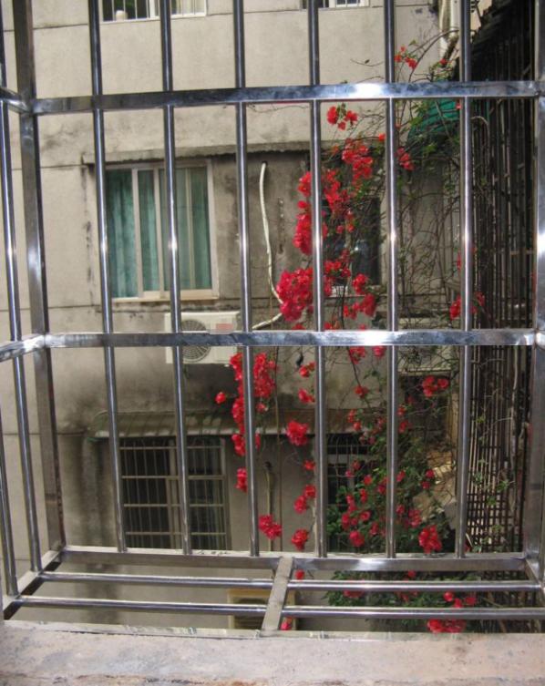 装修隐形防盗网,为什么不建议防盗网装修