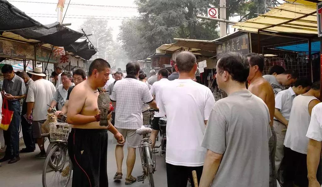 老天津早市在哪,老天津人离不开早市