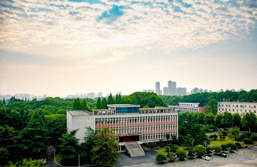 这几个冷门专业就业前景非常不错,十大冷门高薪专业专科