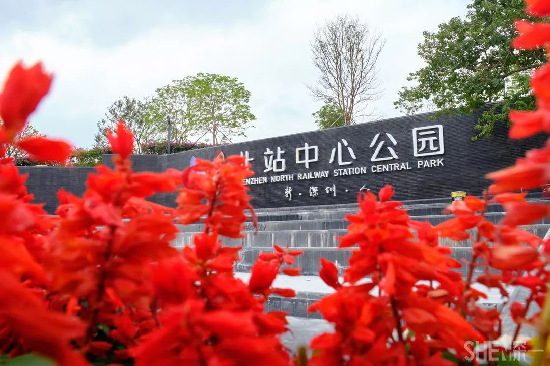 深圳龙华公园对外开放了吗,深圳市龙华新开的公园