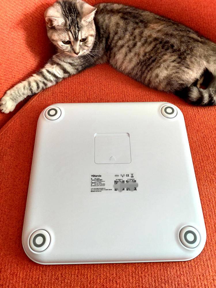 云康宝体脂秤蓝牙和wifi区别,云康宝和华为八电极体脂秤评测