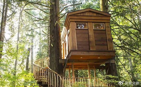 爱奇艺夏令营,爱奇训练营