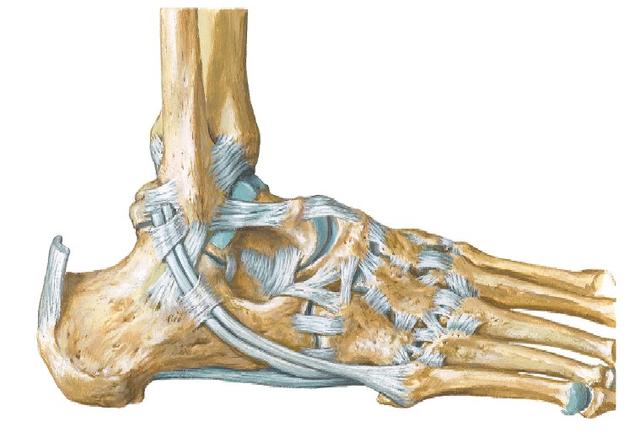 半月板损伤最简单自己鉴别方法,健康之路半月板损伤怎样治疗