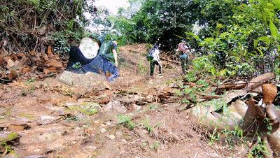 鼎湖徒步之旅,鼎湖山徒步路线推荐