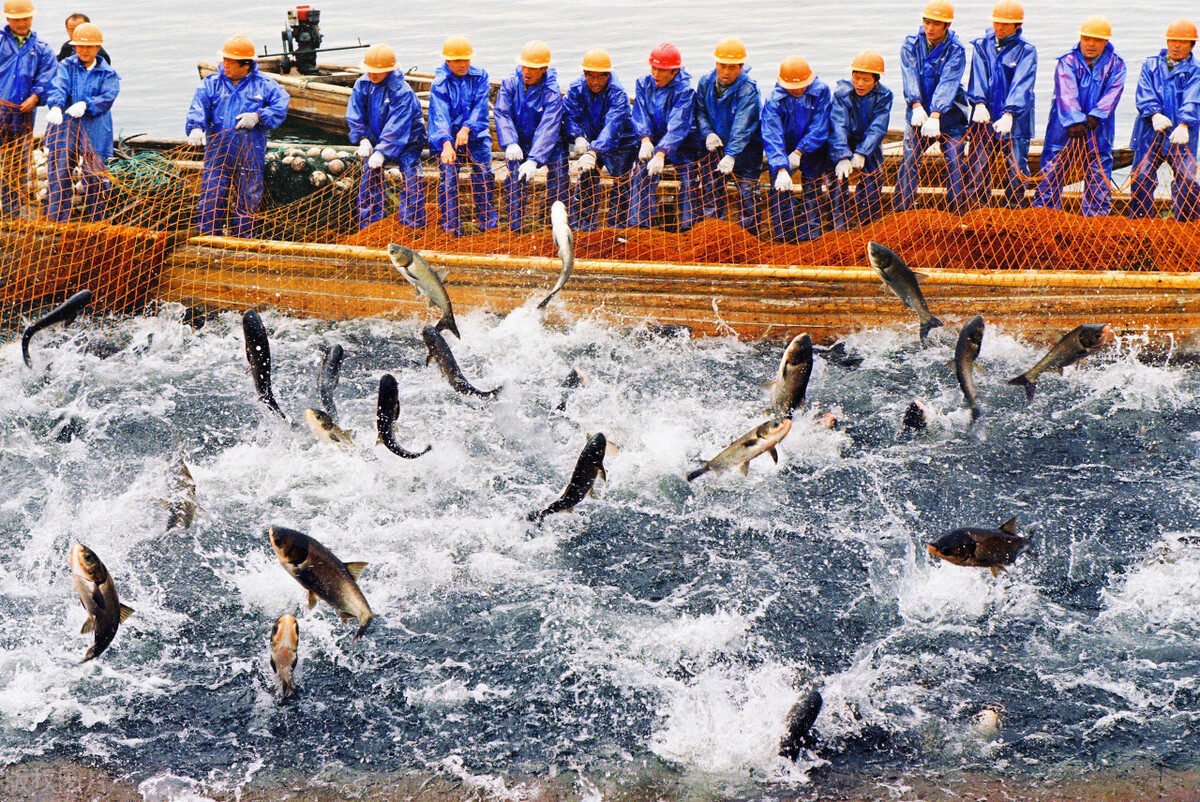 河源万绿湖是以前的新丰江水库吗,新丰江水库跟万绿湖有什么关系