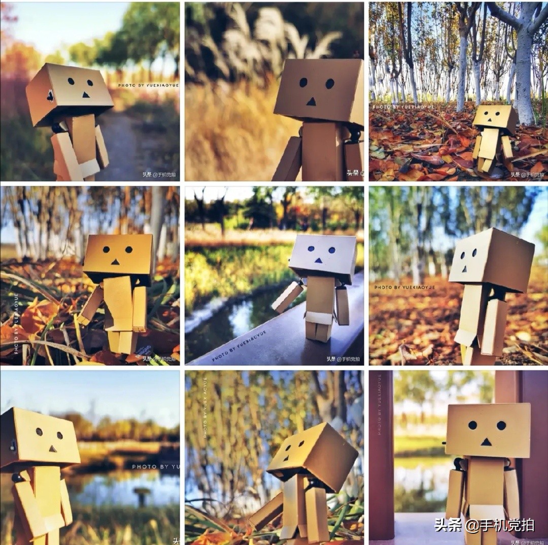 生活小妙招手机摄影,生活小妙招如何拍出爆款